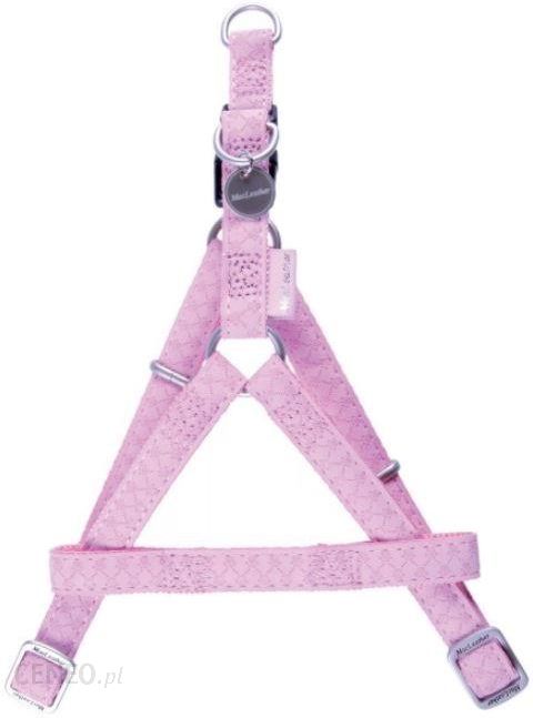 i-szelki-psa-mac-leather-regulowane-66-100cm-25mm